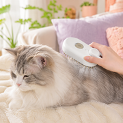 Cat Steam Brush Steamy Dog Brush 3 In 1 Electric Spray Cat Hair Brushes For Massage Pet Grooming Comb Hair Removal Combs Pet Products